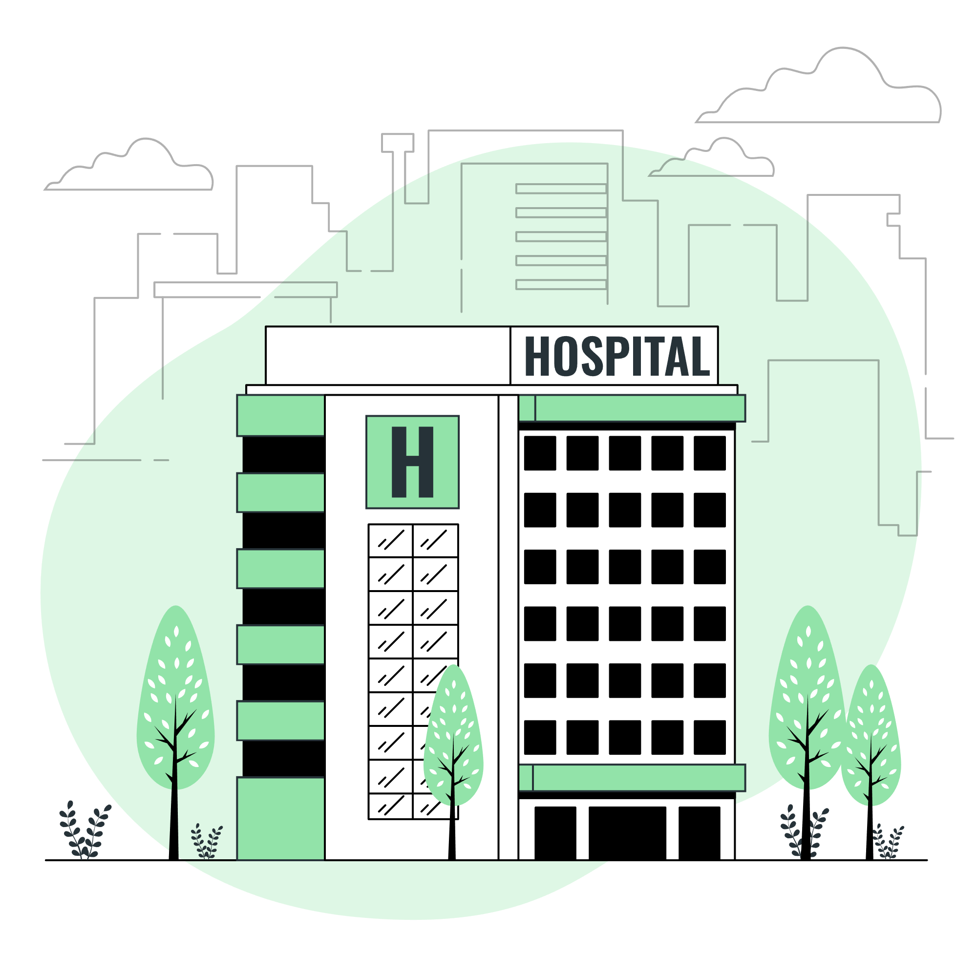 Hospital Management Systems (HMS)